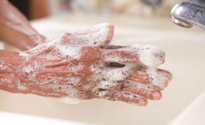What’s Really Hiding in Your Pipes? The Gross Truth About Clogged Drains